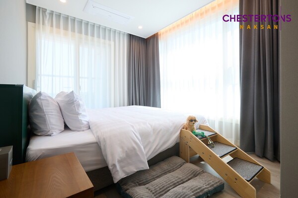 체스터톤스 낙산 펫 프렌들리 호텔객실 모습. /사진=체스터톤스호텔앤드레지던스