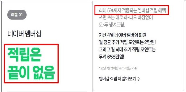 네이버가 지난 2022년 진행한 네이버플러스멤버십 광고 화면. /사진=공정위