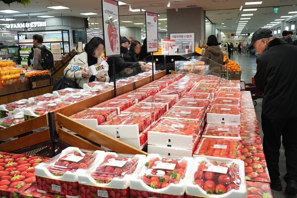 롯데마트 제타플렉스 잠실점 딸기 코너 전경. / 사진=롯데쇼핑 