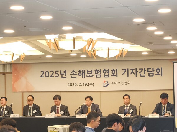 19일 서울 중구 프레스센터에서 열린 손해보험협회 기자간담회에서 이병래 손보협회장이 발언하고 있다. 사진=김준하 기자