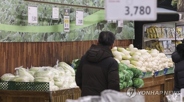 떨어지지 않는 무·배추 가격. / 사진=연합뉴스 