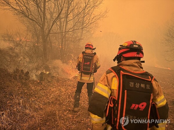 22일 경북 의성군 안평면 괴산리 야산에서 불이 나 경북소방본부 대원들이 진화 작업을 펼치고 있다. / 사진=경북소방본부