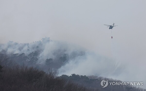 울산시 울주군 온양읍 산불 사흘째인 24일 진화 작업에 동원된 헬기가 물을 뿌리고 있다. /사진=연합뉴스
