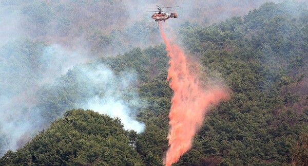 25일 오후 경남 산청군 시천면에서 산림청 헬기가 산불 지연제를 살포하며 산불 확산 방지에 집중하고 있다. / 사진=연합뉴스