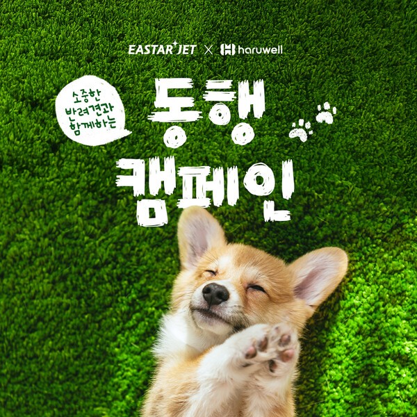 이스타항공이 동물 사료 제조 전문 기업 하루웰과 손잡고 '반려견 동행 캠페인'을 진행한다고 7일 밝혔다./사진=이스타항공