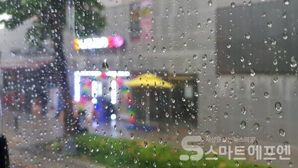 사진=양대규 기자