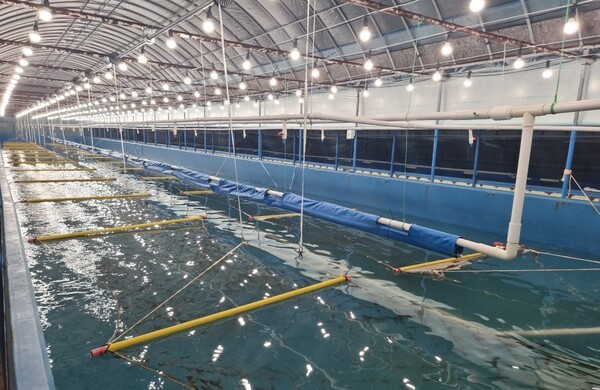 대상㈜이 김 육상양식을 위해 전남 고흥군에 조성했던 1차 시범 양식장 전경