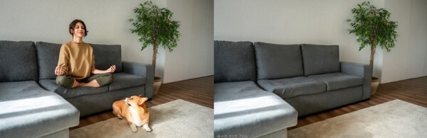 원본 사진(왼쪽)과 갤럭시 AI 생성형 편집 적용해 사람과 강아지를 편집한 사진. 