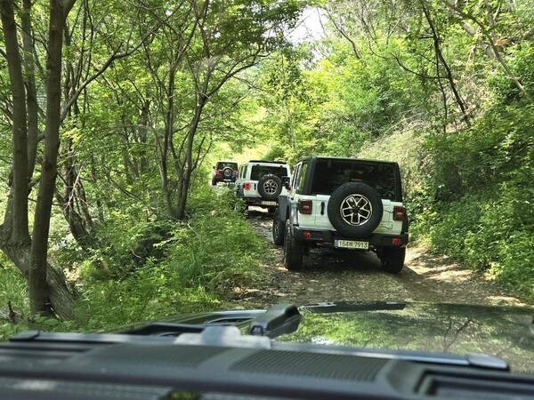 지프 뉴 글래디에이터를 탑승하고 오프로드 코스를 주행했다. /사진=김동하 기자