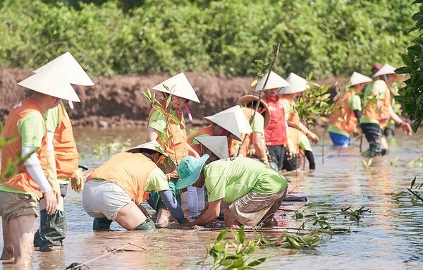 SK이노베이션은 7일 베트남 짜빈성 정부 및 현지 사회적 기업 맹그러브와 맹그로브 숲 복원을 위한 업무협약(MOU)을 체결했다고 밝혔다. 사진은 베트남 짜빈성 지역에서 SK이노베이션 계열 구성원들과 맹그러브 관계자가 맹그로브 묘목을 심고 있다. /사진=SK이노베이션