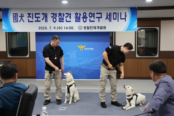 최근 경찰인재개발원에서 열린 진도개 경찰견 훈련 중간보고회. /사진=진도군