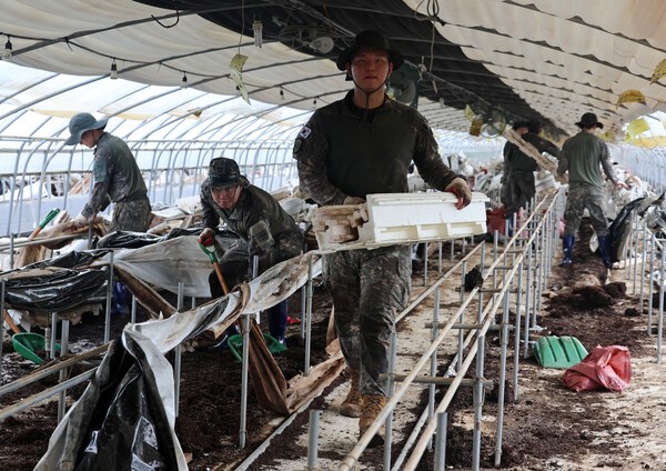 지난 21일 광주 북구 용강동 한 딸기농장에서 31사단 장병들이 수해복구 작업하고 있다. /사진=연합뉴스