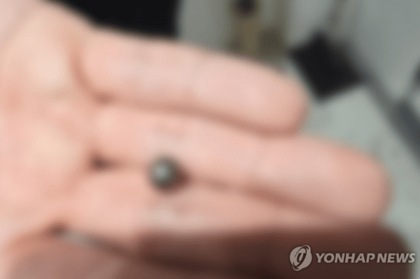 지난 20일 인천시 연수구 송도동에서 벌어진 인천 사제총기 살해 사건에 쓰인 탄환의 모습이다./사진=인천경찰청