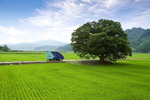 한진이 환경·사회·지배구조 관련 핵심가치 및 활동과 성과들을 담은 ‘2025 한진 지속가능경영보고서’를 발간했다고 25일 밝혔다. /사진=한진