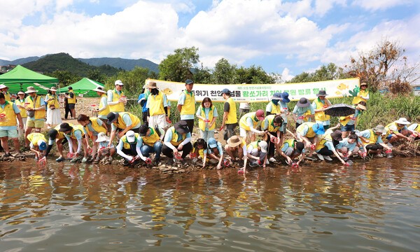 에쓰오일은 임직원 가족 및 대학생 천연기념물지킴이단 약 100여명과 함께 지난 2일 경기도 가평군 청평면 달마공원 앞 수변에서 천연기념물인 황쏘가리 치어를 방류하는 봉사활동을 진행했다고 4일 밝혔다. 사진은 에쓰오일 임직원 가족, 대학생 천연기념물지킴이단 등 봉사활동 참가자들이 황쏘가리 치어를 방류하고 있다. /사진=에쓰오일