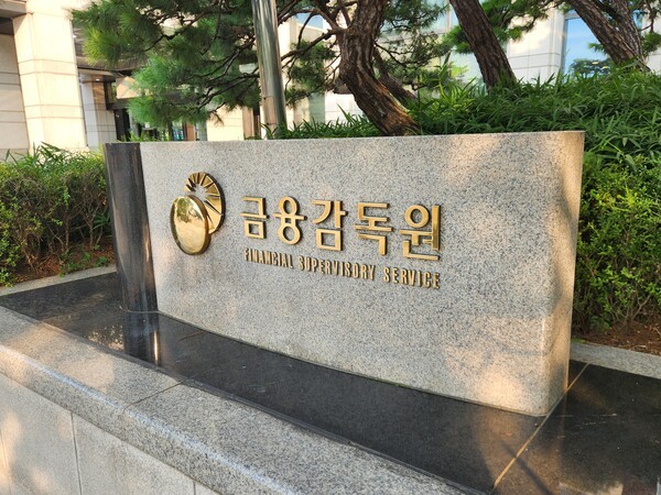 서울 여의도 금융감독원. /사진=김준하 기자