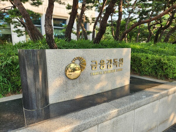 서울 여의도 금융감독원. /사진=김준하 기자