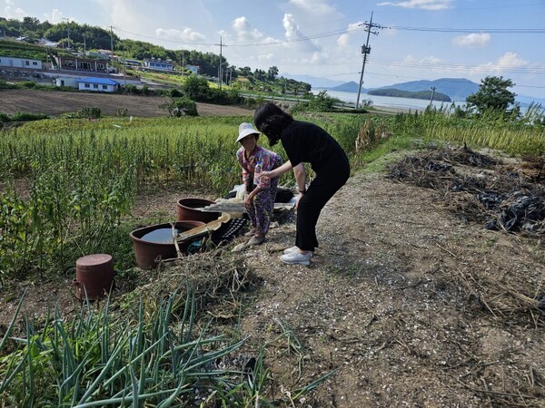 자료사진. /사진=고흥군