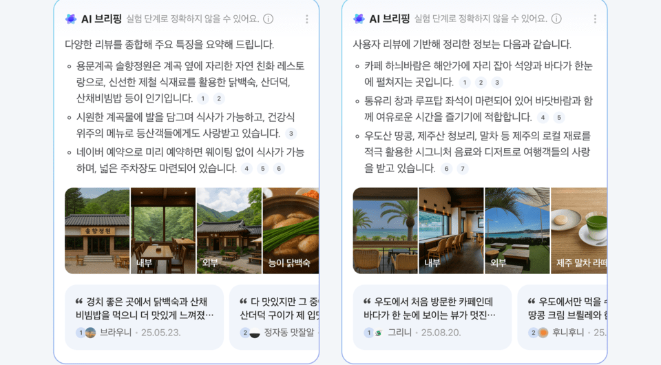 플레이스 AI 브리핑 사용 예시 /사진=네이버