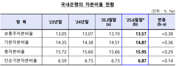 6월 말 국내은행 자본비율 현황. /자료=금융감독원