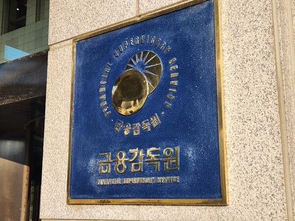 서울 여의도 금융감독원. /사진=김준하 기자