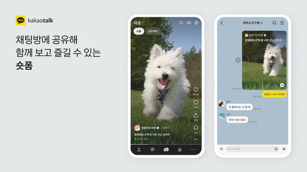 카카오톡에 지금탭이라는 숏폼 중심의 탭이 만들어졌다./이미지=카카오