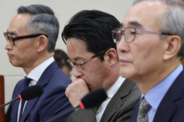 김영섭 KT 대표이사(오른쪽)와 조좌진 롯데카드 대표이사(가운데)가 24일 국회 과학기술정보방송통신위원회에서 열린 통신·금융 대규모 해킹사고에 대한 청문회에서 위원 질의를 듣고 있다. /사진=연합뉴스