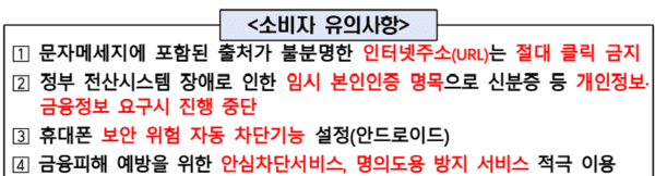 금융당국이 정부 행정정보시스템 장애에 관해 전파한 소비자 유의사항. /자료=금융위원회