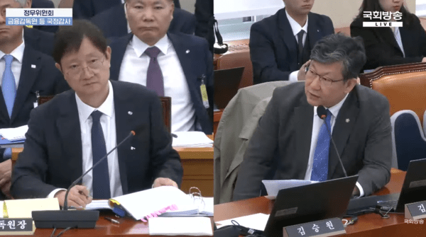 21일 국회 정무위원회 국정감사에서 김승원 더불어민주당 의원이 이찬진 금융감독원장에게 질의하고 있다. /캡처=국회방송