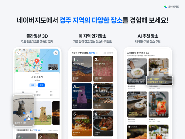 네이버지도에 플라잉뷰 3D 도입 /이미지=네이버