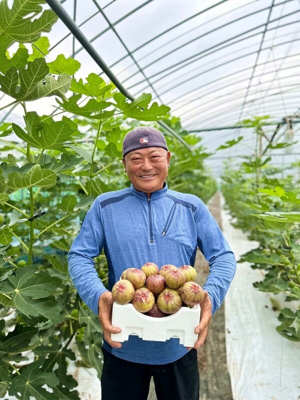 전남 함평에 위치한 '함평농부' 채상희 대표가 무화과 상자를 들고 있다. / 사진=쿠팡