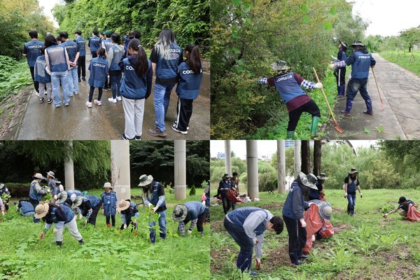 선유도공원 생태 교란종 제거 봉사활동/사진=컴투스