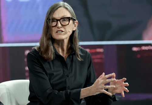 캐시 우드 아크인베스트먼트 최고경영자(CEO). /사진=AFP 연합뉴스
