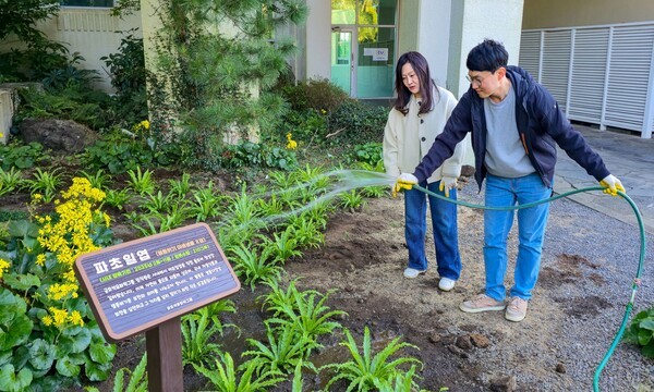 금호석유화학그룹 직원들이 멸종위기종 ‘파초일엽 '을 관리하고 있다. / 사진=금호석유화학그룹