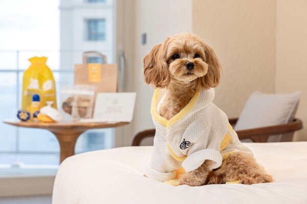 카시아 속초 ‘포펙트 겟어웨이’ 패키지 이미지./사진=카시아 속초