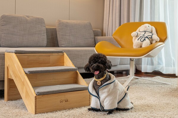 제주신화월드 ‘디어 마이 펫밀리’ 패키지 이미지./사진=제주신화월드